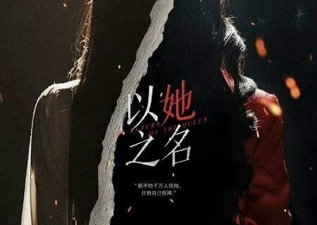 以她之名电视剧剧情先容，《以她之名》东谈主物扮装先容