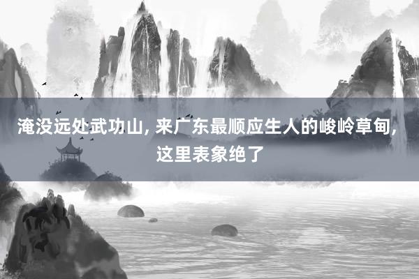 淹没远处武功山, 来广东最顺应生人的峻岭草甸, 这里表象绝了